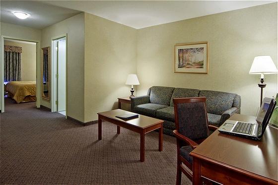 Comfort Inn & Suites South YYC Rum bild